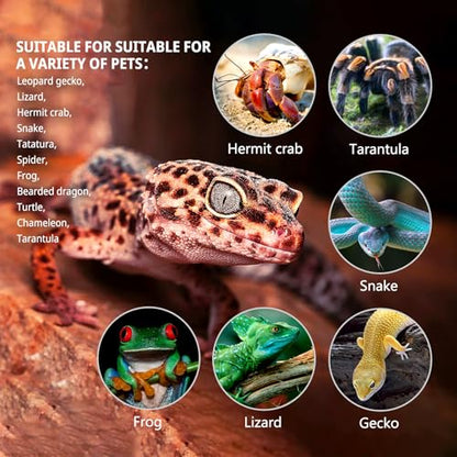 Reptile Glass Tank 20"*12"*10" Pre-Assembled Terrarium for Turtle,Hermit Crab,Bearded Dragon,Gecko,Lizard,Snake,Spider,Fish,Tarantula Enclosure with Top Screen Ventilation and Openning Door - size: 20*12*10inch