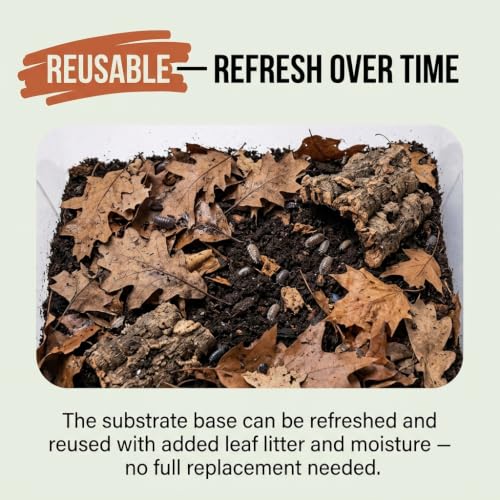 Premium Isopod Habitat Kit | Live Isopod Bundle Cleanup Crew | Live Arrival Nationwide!