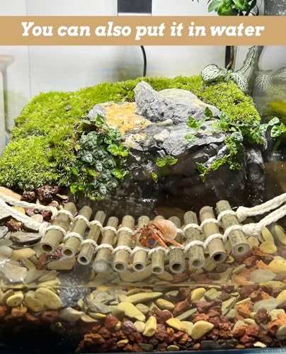 VCEPJH Reptile Bridge 2 Pack Crested Gecko Climbing Ladder Bamboo Basking Lounger Leopard Gecko Tank Accessories for Hermit Crab Juvenile Bearded Dragon Chameleon Small Lizard Tree Frog