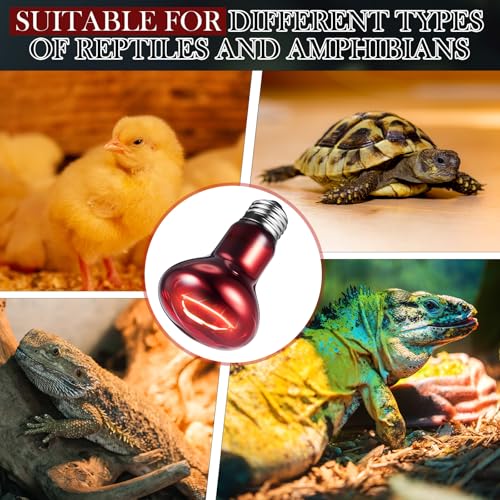 6 Pack 75 W Reptile Heat Bulbs Red Heat Lamp Bulb Infrared Lamp Red Basking Light Bulbs for Reptiles, Bearded Dragon, Lizard, Tortoise, Chickens, Leopard Gecko, Amphibian, Pets - color: Infrared