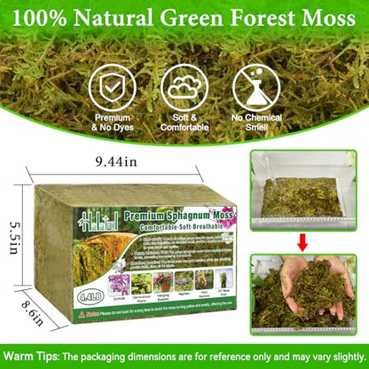 Halatool 4.4 LB Natural Green Forest Moss, Long Fiber Dried Sphagnum Moss | No Dyes, Water Retention & Areation, Dried Orchid Moss for Potted Plants Indoor & Outdoor, Orchids Repotting, Terrariums - size: 4.4 lb