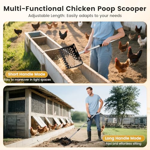 2-in-1 Chicken Poop Scooper & Rake, 38 to 66" Adjustable Stainless Steel Chicken Coop Scoop for Sand Chicken Litter Scoop with Handle Litter Sifting Shovel for Chicken Coops & Pet Waste