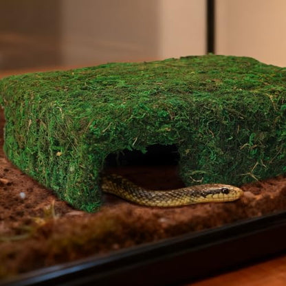 Handmade Reptile Moss Cave M, 9.4" Shelter for Gecko Hamster | Moss reptile cave hide, Smooth edges, no injury, Suitable for humid environments - color: M Green