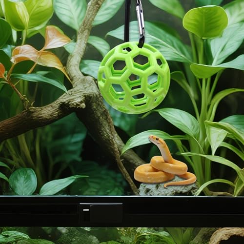 Slim Snake Climbing Ball, Snake Enrichment Snakes Balls with Hooks (Green) | Reptile Climbing Accessories, Feeding Ball, Must Not Deform, Jungle Gym Ball for Small Ball Python Playground Climbing Toys - color: Green