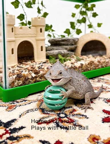 10-Pack Bearded Dragon Toy Balls, Non-Toxic PP, Bell Enrichment | Mealworm Stuffing Method, Hunting Instinct Activation, Boredom Reduction