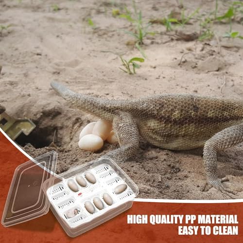 Reptile Egg Incubator Tray Incubation Box Hatching Case Hatching Tray | 16 Grids Transparent Reptile Incubator for Snake Lizard Turtle Gecko Chameleon Bearded Dragon Leopard Gecko Egg Incubation - color: B