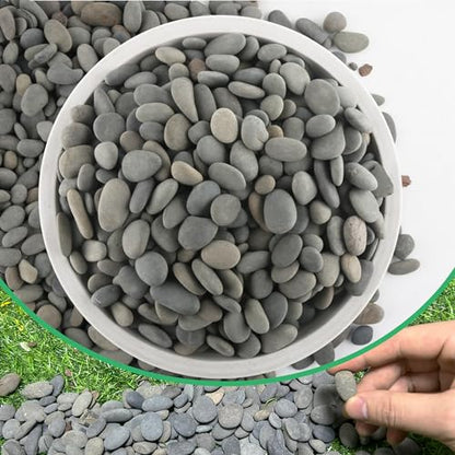 7LB River Rocks Mexican Beach Pebbles for Garden Landscape Plants Paving Grey (1Inch) - size: 7LB, style: Medium