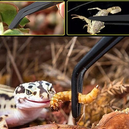 3Pcs Aquascaping Tools Kit, Long Stainless Steel Aquatic Plant Tweezers, Scrapers, Long Handle Feeder Tools for Fish Aquariums, Reptiles Snakes Lizard Gecko Spider and Bird (Black) - color: Black