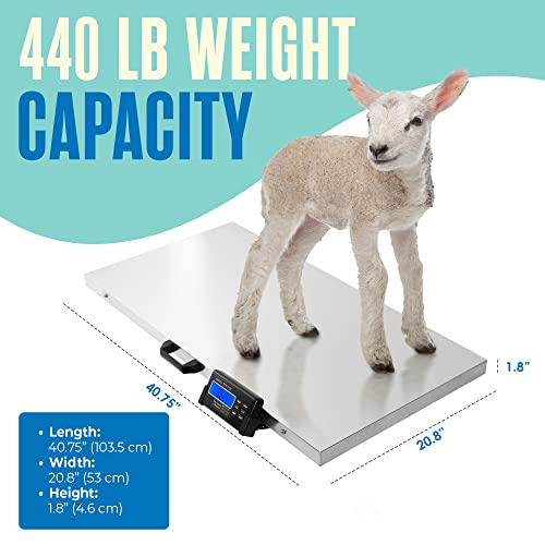 Dog Scale, Dog Scale for Large Breed, Pet, Shipping, 440 Lb, 41x21 Platform | Houseables Livestock, Pet Weight, Animal, Veterinary, Sheep, Goat, Pig, Packages, Weighing, Puppy, Vet, Heavy Duty, Digital