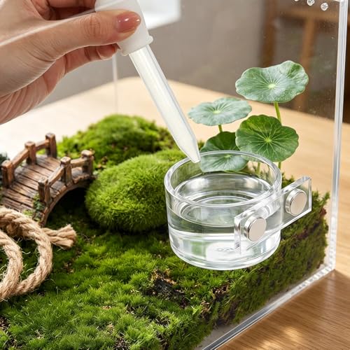 Jumping Spider Feeding Dish Set, Jumping Spider Food Dish with Tweezers and Dropper,Magnetic Food-Dish Jumping-Spider Enclosure Accessories Reptile Feeding Tongs 4x2cm