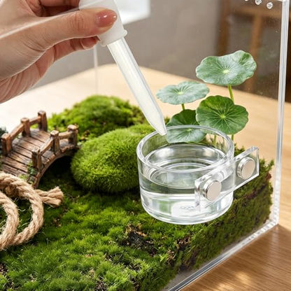 Jumping Spider Feeding Dish Set, Jumping Spider Food Dish with Tweezers and Dropper,Magnetic Food-Dish Jumping-Spider Enclosure Accessories Reptile Feeding Tongs 4x2cm