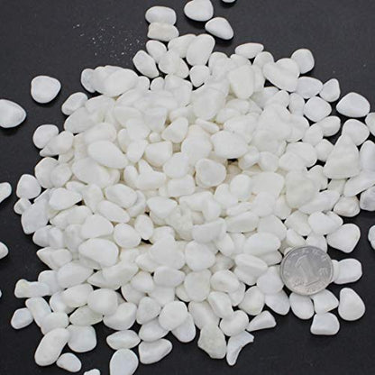 Aquarium Decorative Sands White Gravel Pebbles, 2 Pounds | Fit for Aquariums, Succulent Plants, Terrarium Landscape
