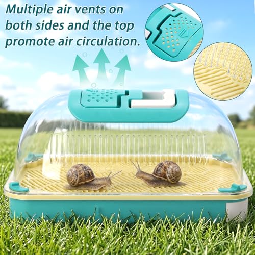 Snail Terrariums Breeding Box, Plastic Habitat Tank Starter Kit for Small Reptile, Rectangle Clear Snail Enclosure with Handle & Air Vents, Feeding Box for Beetles Spider Praying Mantis