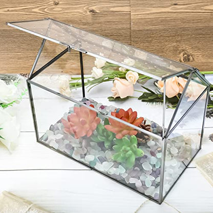 Geometric Glass Terrarium with Acrylic Lid, House Shape Black Terrarium with Breathing Holes for Snails, Succulent, Cacti, Air Plants, 10.3x8.3x5.9 inch (Terrarium Only)