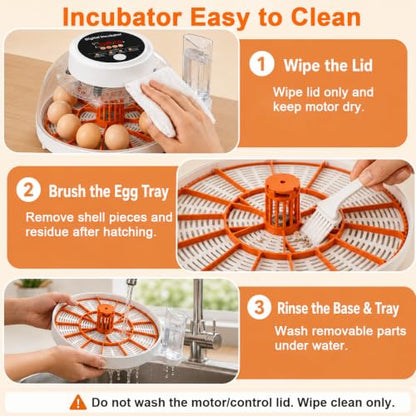 Upgraded Egg Incubator for Hatching Eggs, 12 Egg Capacity with Automatic Egg Turner, Temperature & Humidity Control, LED Egg Candler, Chick Incubator for Chicken, Duck & Quail Eggs - size: 12 EGGS