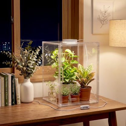 Novabright Mini Greenhouse Indoor with Grow Light Clear Acrylic Plant Cabinet, Tabletop Indoor Greenhouse Kit DUSB White & Warm Light for Succulents, Herbs (Without Dividers)