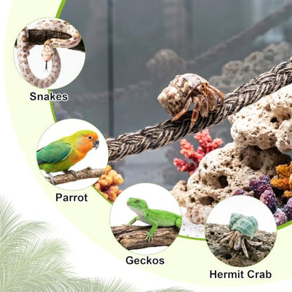 3-Pack Snake Climbing Rope & Reptile Vines 27.5" Braided Hemp Toys for Terrarium Enrichment Ball Python Crested Gecko & Hermit Crab Tank Accessories with Suction & Adhesive Hooks - color: Multi-color