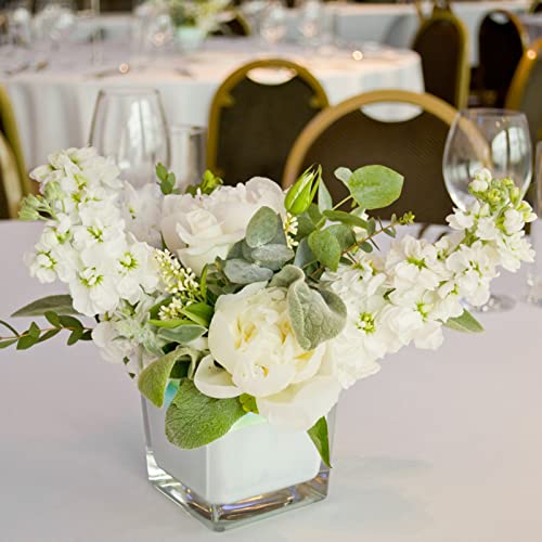 6 Pack Square Glass Vases 4" x 4" x 4", Clear Flower Vase | Candle Holder for Centerpieces, Wedding Party Home Decor - size: 4inch