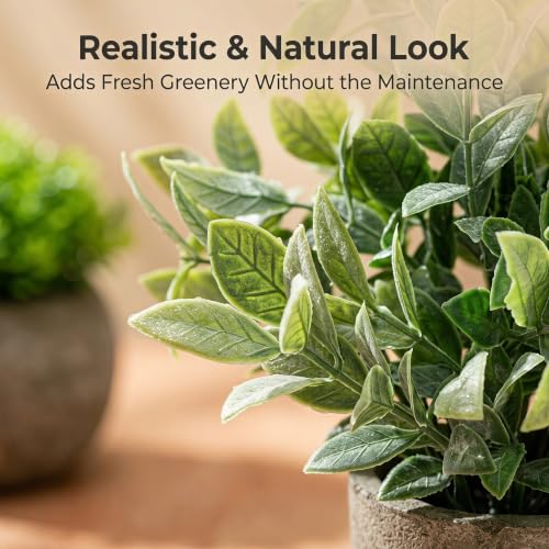 AUUGUU Artificial Potted Plants Faux Greenery in Cement Pots for Shelf, Bookshelf, Office or Home Decor, Small Decorative Fake Plants for Modern Indoor Display