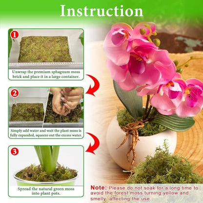 Halatool 5.5 LB Natural Green Forest Moss, Long Fiber Dried Sphagnum Moss | No Dyes, Water Retention & Areation, Dried Orchid Moss for Potted Plants Indoor & Outdoor, Orchids Repotting, Terrariums - size: 5.5 lb