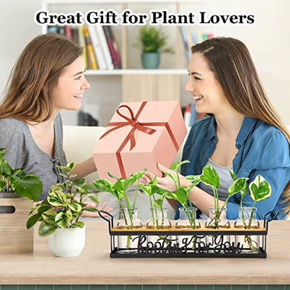 THYGIFTREE Plant Propagation Stations, for Plant Lovers Rooting for You Propagate Jars for Hydroponic Cuttings Propagating Vase - color: Black – 5 Tray Letter