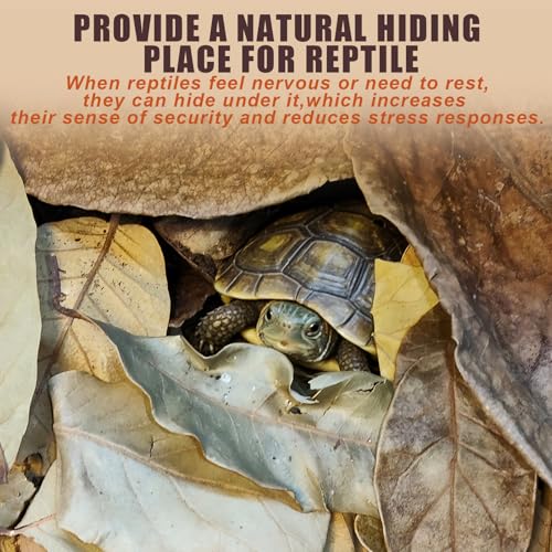 Dry Oak Leaf Litter for Reptiles,20Pcs Oak,30Pcs Longan & 10PCS Indian Almond Leaves,Leaf Litter Isopods Live Substrate Terrarium Bedding for Turtle,Snakes,Frogs,Isopod,Spider, Cricket