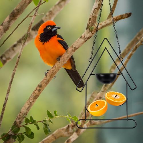 Hushee 2 Pcs Oriole Feeder for Outdoors Grape Jelly and Oranges Fruit Metal Bird Feeder Outdoor Garden Hanging Drinking Container Hummingbird Jelly for Outdoor Hanging Garden Patio(Birdhouse Shaped) - style: Birdhouse Shaped