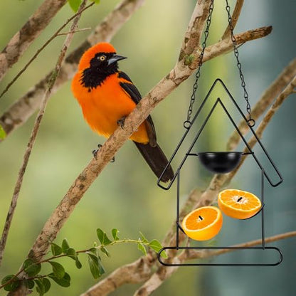 Hushee 2 Pcs Oriole Feeder for Outdoors Grape Jelly and Oranges Fruit Metal Bird Feeder Outdoor Garden Hanging Drinking Container Hummingbird Jelly for Outdoor Hanging Garden Patio(Birdhouse Shaped) - style: Birdhouse Shaped