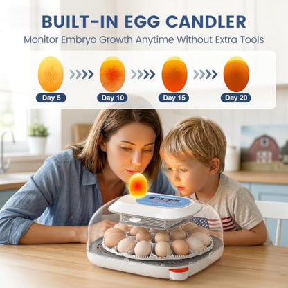 Sailnovo 24 Egg Incubators for Hatching Eggs with 4 Modes, 360° View, Blue | 24-48 Egg Capacity, for Chicken Quail Duck, Automatic Egg Turning, Temperature Control, Humidity Display,Built-in Candler