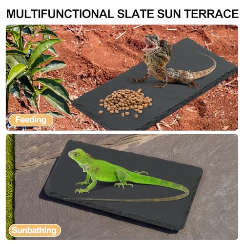 Reptiles Slate Rocks, Basking Surface Reptile Basking Platform, Enhances Climbing Activity, 7.87"x3.94", Black Gray - size: 7.87"x3.94"