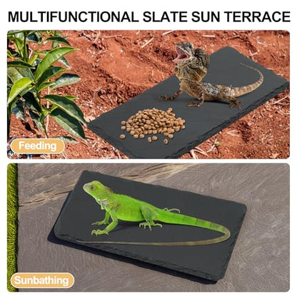 Reptiles Slate Rocks, Basking Surface Reptile Basking Platform, Enhances Climbing Activity, 7.87"x3.94", Black Gray - size: 7.87"x3.94"