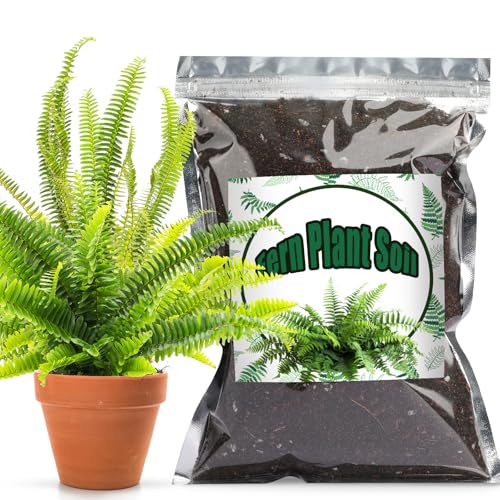 Doter Potting Soil Mix for Fern 2qt, Custom Hand Blended Mixture Suitable for Indoor/Outdoor Potted Fern Plant - size: 2qt