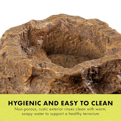 Zilla Terraced Dish, Reptile Feeding Dish, Stable and Spill-Resistant, Ideal for Geckos, Skinks, Snakes and Lizards, Medium - size: Medium