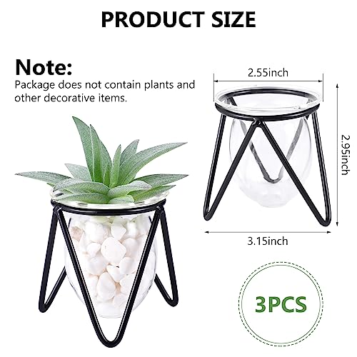 Jspupifip 3 Pcs Glass Plant Terrarium with Metal Stand | Air Plants Holders, Hydroponic Plant Vases, Desktop Bulb Glass Vase, Home Office Decor