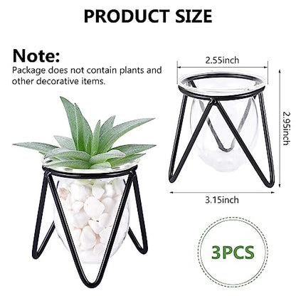 Jspupifip 3 Pcs Glass Plant Terrarium with Metal Stand | Air Plants Holders, Hydroponic Plant Vases, Desktop Bulb Glass Vase, Home Office Decor