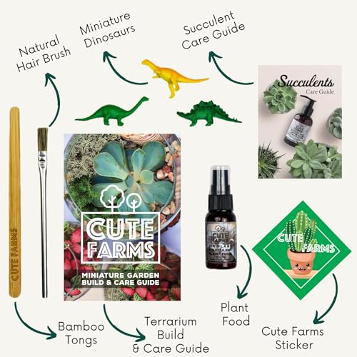 Terrarium Starter Kit | Moss, Vermiculite, Soil, Pebbles, Plant Food, Finishing Tools, Build and Care Guide | DIY Succulent Terrarium (Small) - size: Small Kit