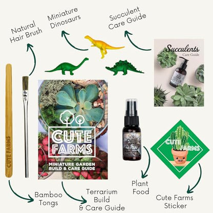 Terrarium Starter Kit | Moss, Vermiculite, Soil, Pebbles, Plant Food, Finishing Tools, Build and Care Guide | DIY Succulent Terrarium for Adults and Kids (Medium) - size: Medium Kit