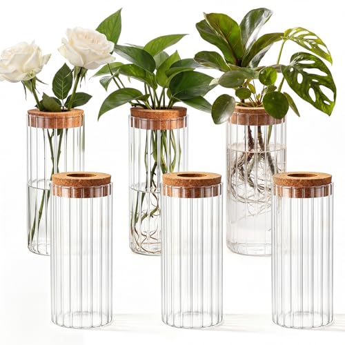 6 Set Propagation Station Jar Desktop Glass Planter Station Flower Vases Water Terrarium Jar with Cork Lid for Propagating Flower Plants Centerpiece Office Home Garden Decor(Medium) - size: Medium