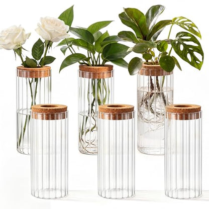 6 Set Propagation Station Jar Desktop Glass Planter Station Flower Vases Water Terrarium Jar with Cork Lid for Propagating Flower Plants Centerpiece Office Home Garden Decor(Medium) - size: Medium