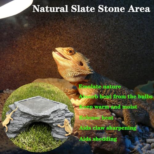 X-Large Bearded Dragon Basking Platform, Lizard, Snake or Reptile Hide with Heat Storage Slate Stone, 13x12x5 Inch Oversized Gecko Hide Cave - size: XL / 13x12x5 Inch