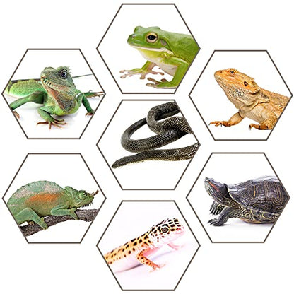 Hamiledyi 2PCS Reptile Feeding Box Snake Breeding Box Transparent Animal Habitat Cage Portable Plastic Turtle Transport Container for Bearded Dragon Lizard Spider Frog Scorpion Gecko 12.6 x 8.6 x 5.9