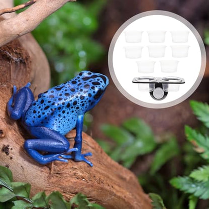 TOYANDONA Reptile Feeder with Suction Cup, Escape-Proof Worm Container and Dual-Compartment Food Bowl, Sturdy Plastic Feeding Dish for Geckos and Lizards, Terrarium Feeding Supplies