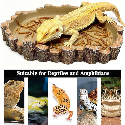 X-Large Bearded Dragon Water Dish Food Bowl, Reptile Food Dish, 9.5"x7.7"x1.4"