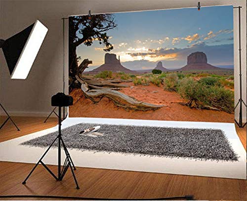 Leyiyi 5x3ft Monument Valley Photography Background American National Park Navajo Tribal Park Cowboy Western Desert Weathering Rock Warship Landmark Film Backdrop Polyester Terrarium Background - color: Desert2, size: 5x3ft-P