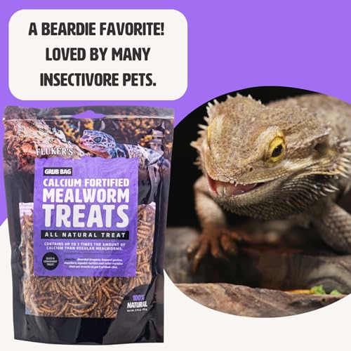 Fluker’s Grub Bag All Natural Calcium Fortified Mealworm Treats, Packed with Protein, Rich in Nutrients, A Reptile Favorite, 3 oz