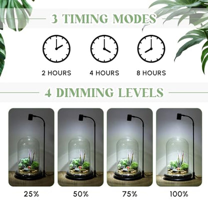 Plant Terrarium Kit with Grow Light, 4.8'' x 7.87'' Glass Dome Terrarium with Air Hole and Base, Succulent Air Planter Fern Moss Micro Landscape Vase for Home Office Tabletop Decoration
