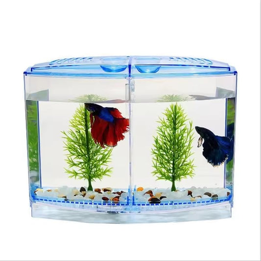 EatingBiting Large Double Compartment Fighting Fish Box Eco Rumble Fish Aquarium Mini Aquarium Plastic Isolation Box Breeding Box Transparent Betta Fish Tank