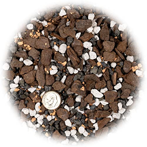 Premium Bonsai Soil All Purpose Fast Draining Mix - Pumice, Lava, Calcined Clay and Pine Bark Potting Pre Mixed Bonsai Plant Soil Mixture by GARDENERA- Made in USA - (2 Quart Bag) - color: BONSAI POTTING MIX, size: 2 Quart