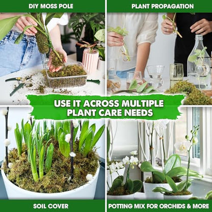5 Oz Real Dried Forest Moss for Potted Plants, Plant Propagation | Hand-Picked & Clean, Easy to Rehydrate, Balanced Moisture, Forest Orchid Moss for Potting Mix,Moss Soil Cover for Houseplants - size: 5 Oz