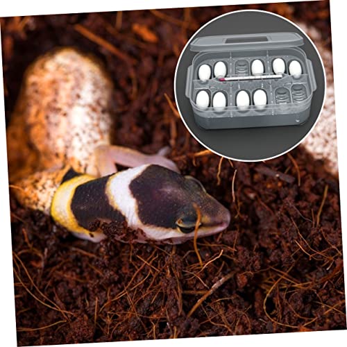 VICASKY Reptile Incubation Box for Lizards and Snakes Hatching Container Egg Tray Sturdy Plastic Suitable for Breeding and Hatchery Use